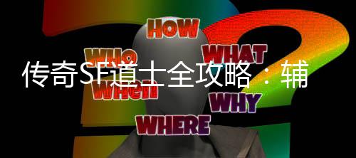 道士耗战与消网打尽传奇略全攻术一辅助