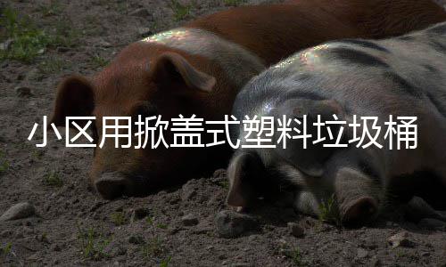 桶盖式用掀垃圾小区塑料
