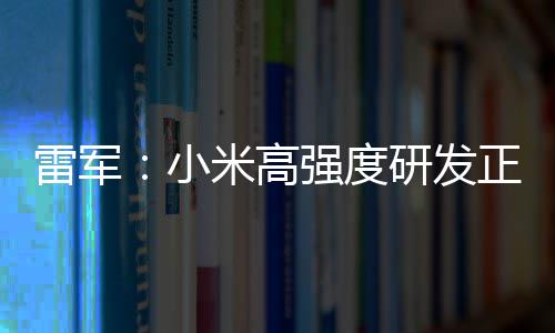 米高破 片是正变自研证明研发成突雷军小m芯强度