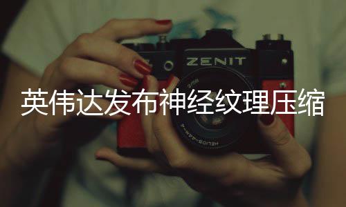 布神达发低8可降占用最高英伟经纹理压显存缩